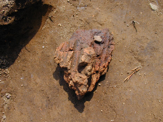 ��2���Z�����}���o�y�����╨�B