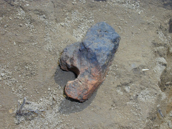 ��2���Z�����}���o�y�����╨�̎ʐ^�B