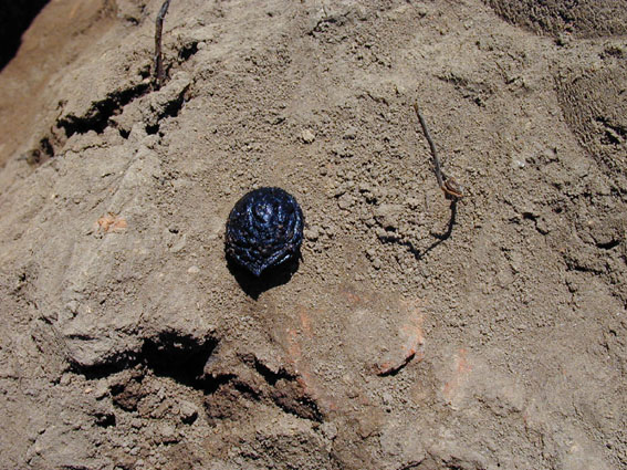 ��1���Z���Տo�y�̒Y���������̎�̎ʐ^�B