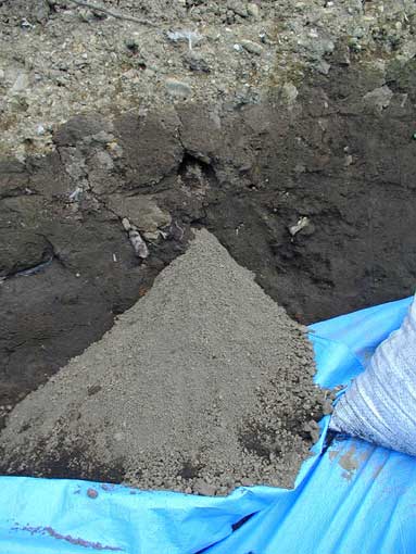 ������̕ǂ̌����獻���o�ė��܂��Ă���ʐ^�B