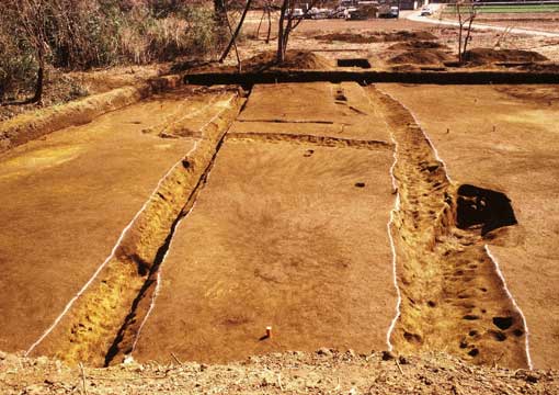 ��1�E�Q���a���@�ʐ^