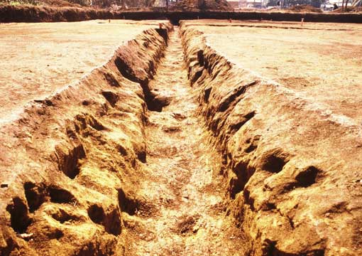 ��1���a���@�󋵎ʐ^