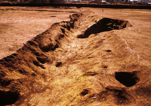 ��2���a���@�󋵎ʐ^