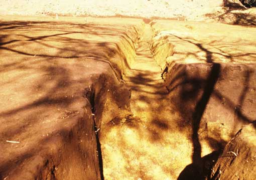 ��1���a���@�󋵎ʐ^