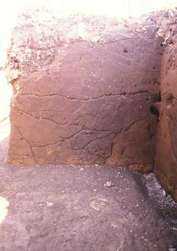 ��3���a�y�w�͐Ϗ󋵎ʐ^�Q