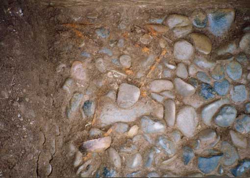 �Ύ����╨�o�y�󋵁B