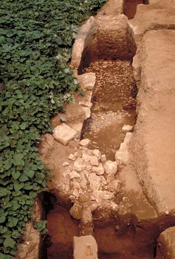 �Õ��Ύ��m�F�󋵎ʐ^�B