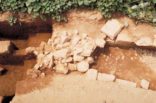 �Ǖ~�݊m�F���o�ʐ^�B