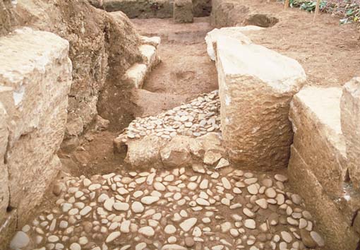 �A�����m�F�󋵎ʐ^�B