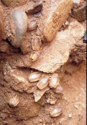 �A�����؎q�ʏo�y�󋵎ʐ^�B