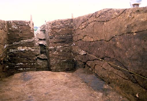 ���u���y�\�z�󋵎ʐ^�B