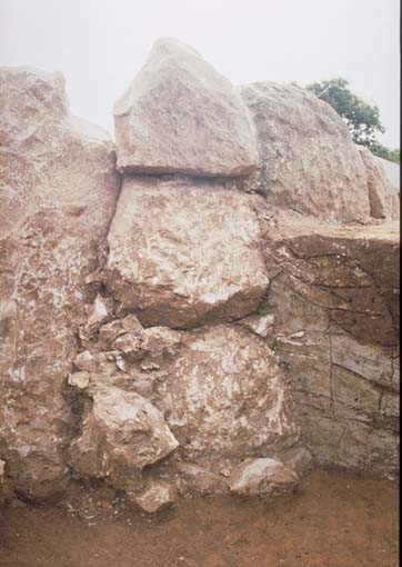 �Ύ��΍ޑg�グ�󋵎ʐ^�P