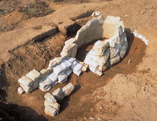 �Ύ��S�i�ʐ^�B