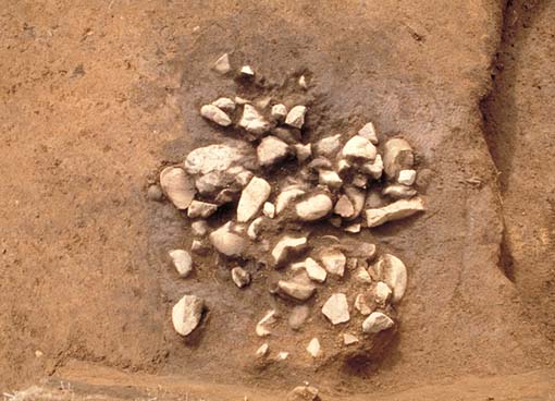 �W�Γy�ۊm�F�󋵂̎ʐ^�B