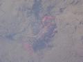 水中のザリガニの写真