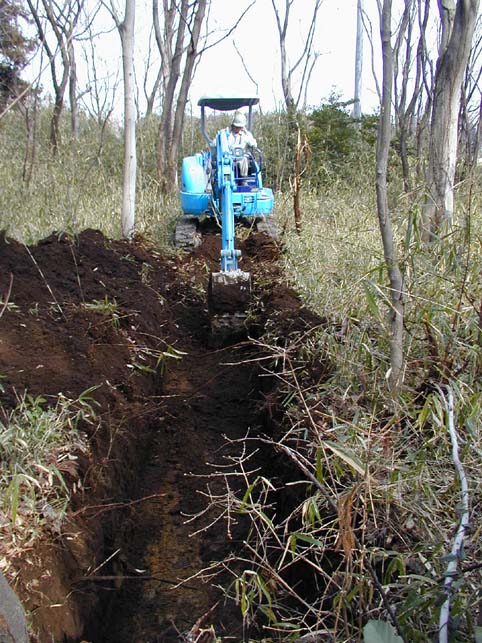 ��R�g�����`�@�艺���󋵎ʐ^