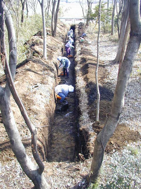 ��S�g�����`��Ə󋵎ʐ^