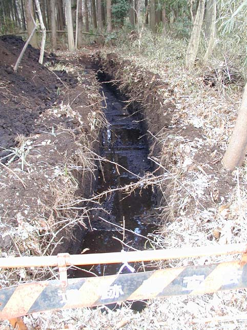 ��5�g�����`���@�󋵎ʐ^