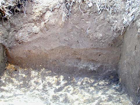 ��1���a�ΎR�D���o�󋵎ʐ^�P