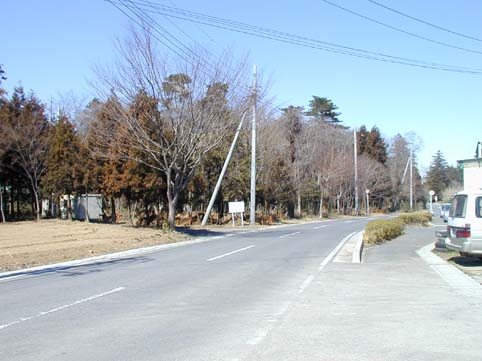 ������ߌi�ʐ^