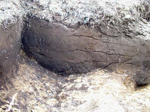 ��1���a�y�w�͐Ϗ󋵎ʐ^