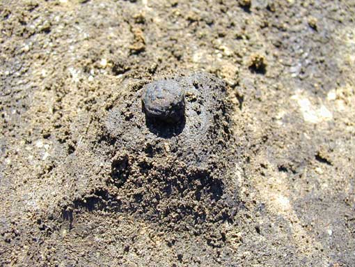 ��1���Z���ՒY�����j�o�y��