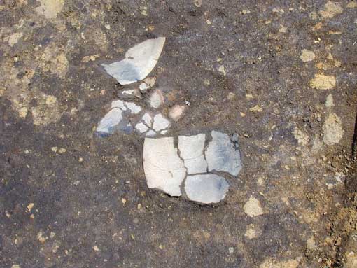 ��1���Z���Ո╨�o�y�󋵎ʐ^