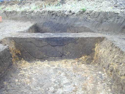 ��1���a�y�w�͐Ϗ󋵎ʐ^