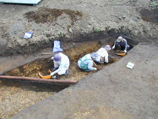 ��1���a��Ə󋵎ʐ^