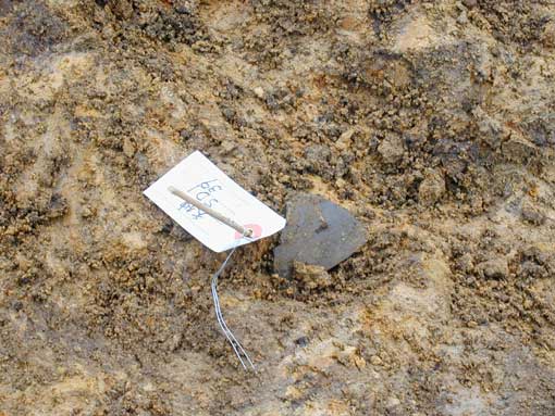 ��1���a�╨�o�y�󋵎ʐ^