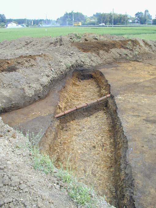 ��1���a���@�󋵎ʐ^